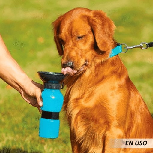 Botella de agua portátil para perros