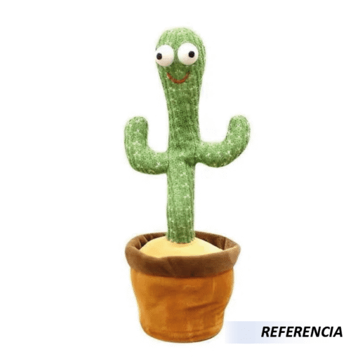 Cactus Bailarín - Imagen 4