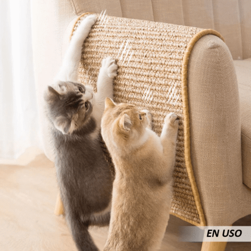 Alfombrilla rascador de Gatos - Imagen 5