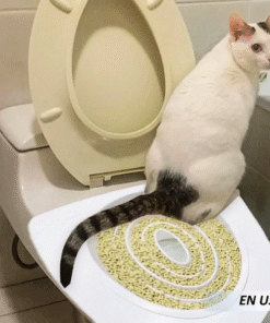 Baño para gatos