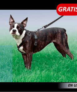 Collar y Correa para Perros