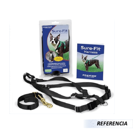 Collar y Correa para Perros - Imagen 5
